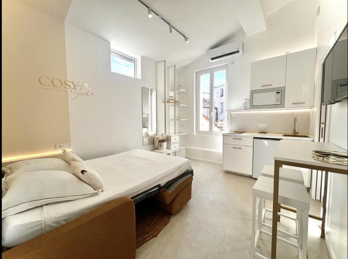 Cosy Suite - Elegance & Calme En Hyper-Centre Montpellier Ngoại thất bức ảnh